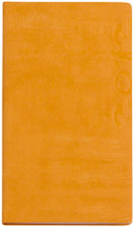 Agenda A45004 Esterno