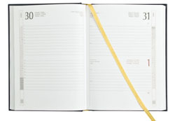 Agenda A45113 Interno