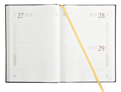 Agenda A45115 Interno