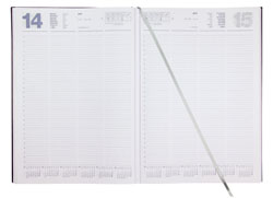 Agenda A45210 Interno