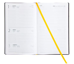 Agenda A45500 Interno