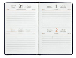 Agenda A45101 Interno